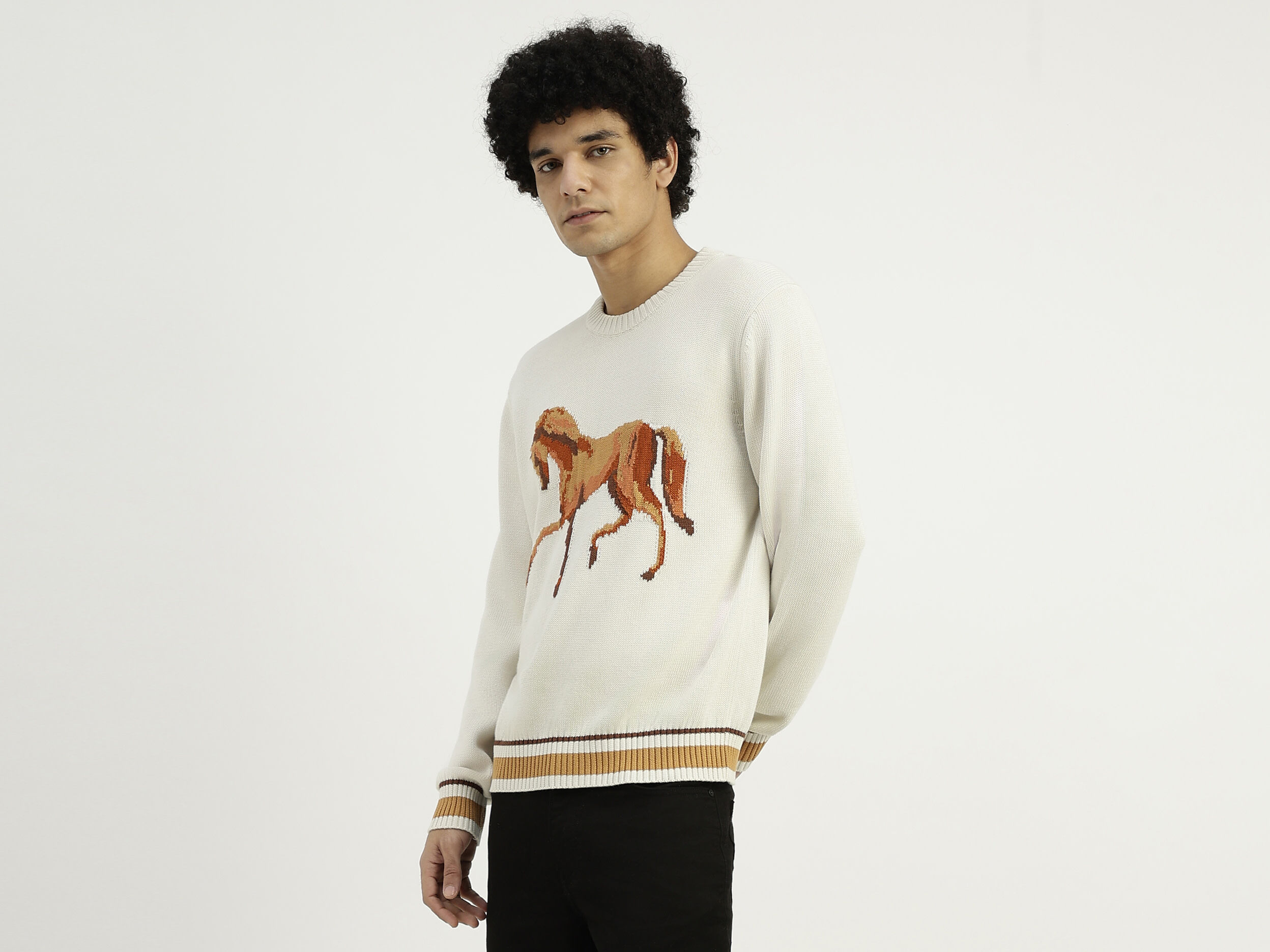 Relaxed Fit Round Neck Printed Sweater - White | Benetton