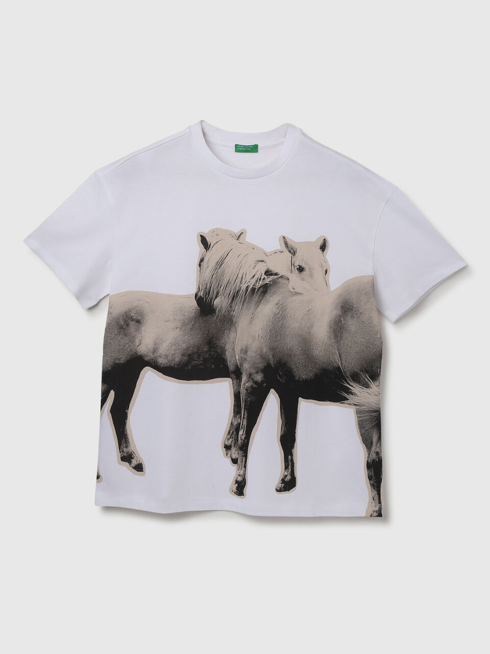 S/SLV HORSE PRINT TEE image number 1