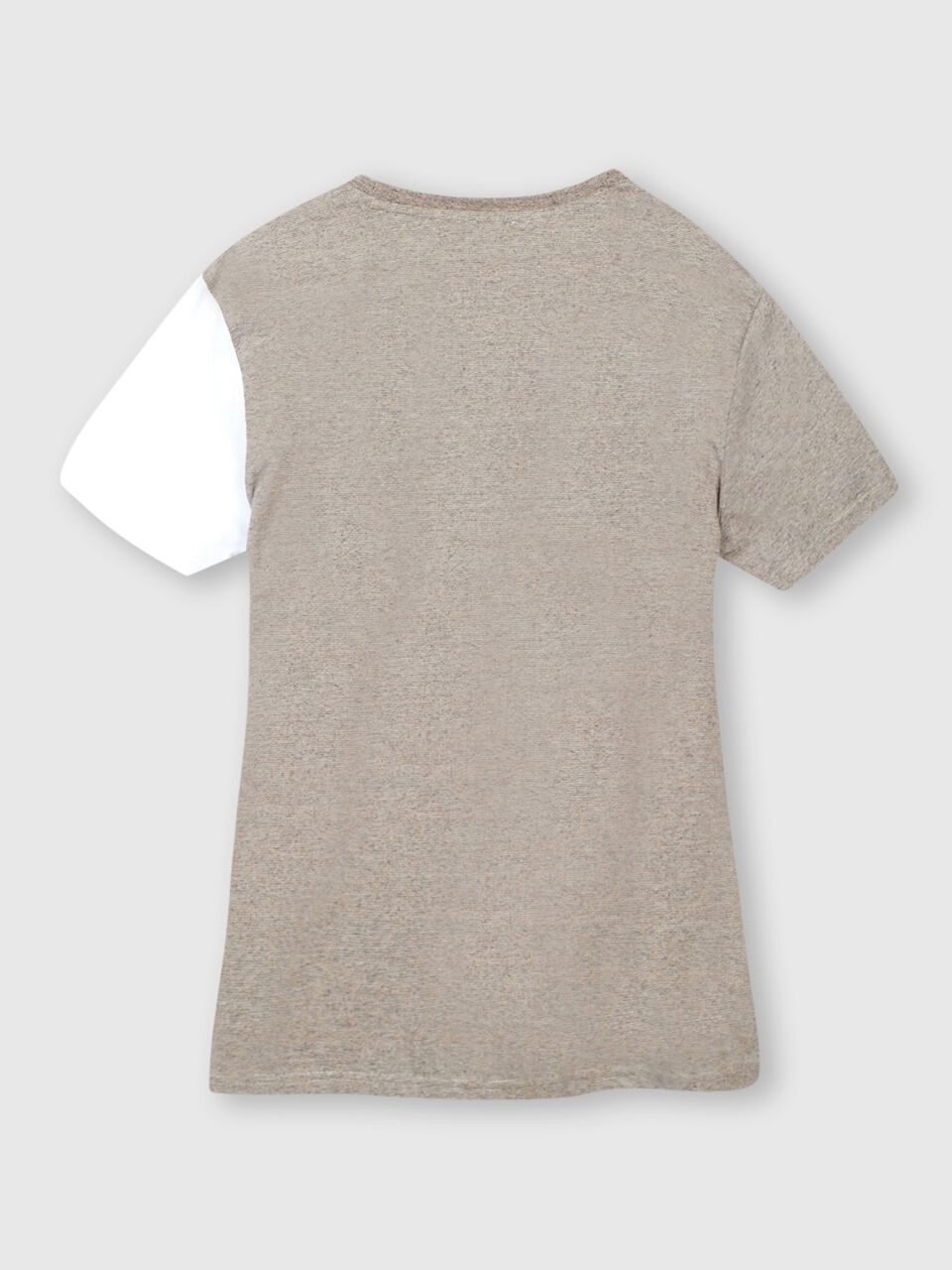 Pure Cotton Tee Shirt with Print image number 2