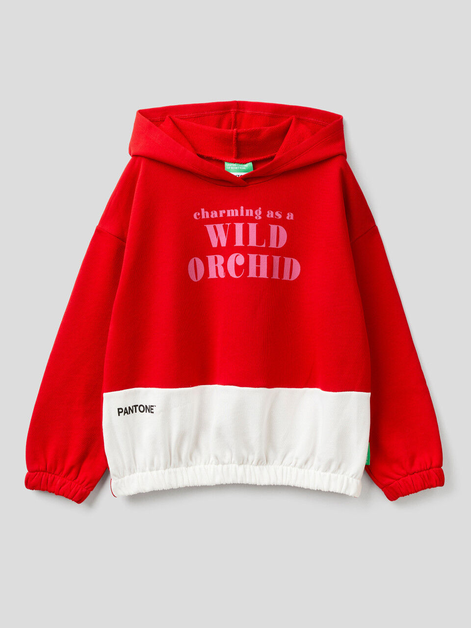 Sudadera pantone cheap