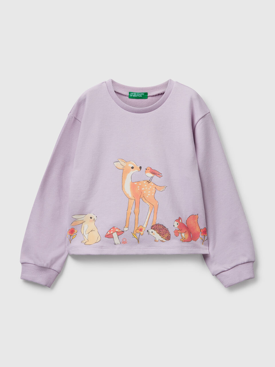 SWEATER L/S Niña image number 1