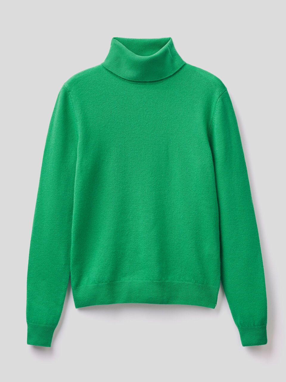 Turtleneck sweater in pure virgin wool image number 1