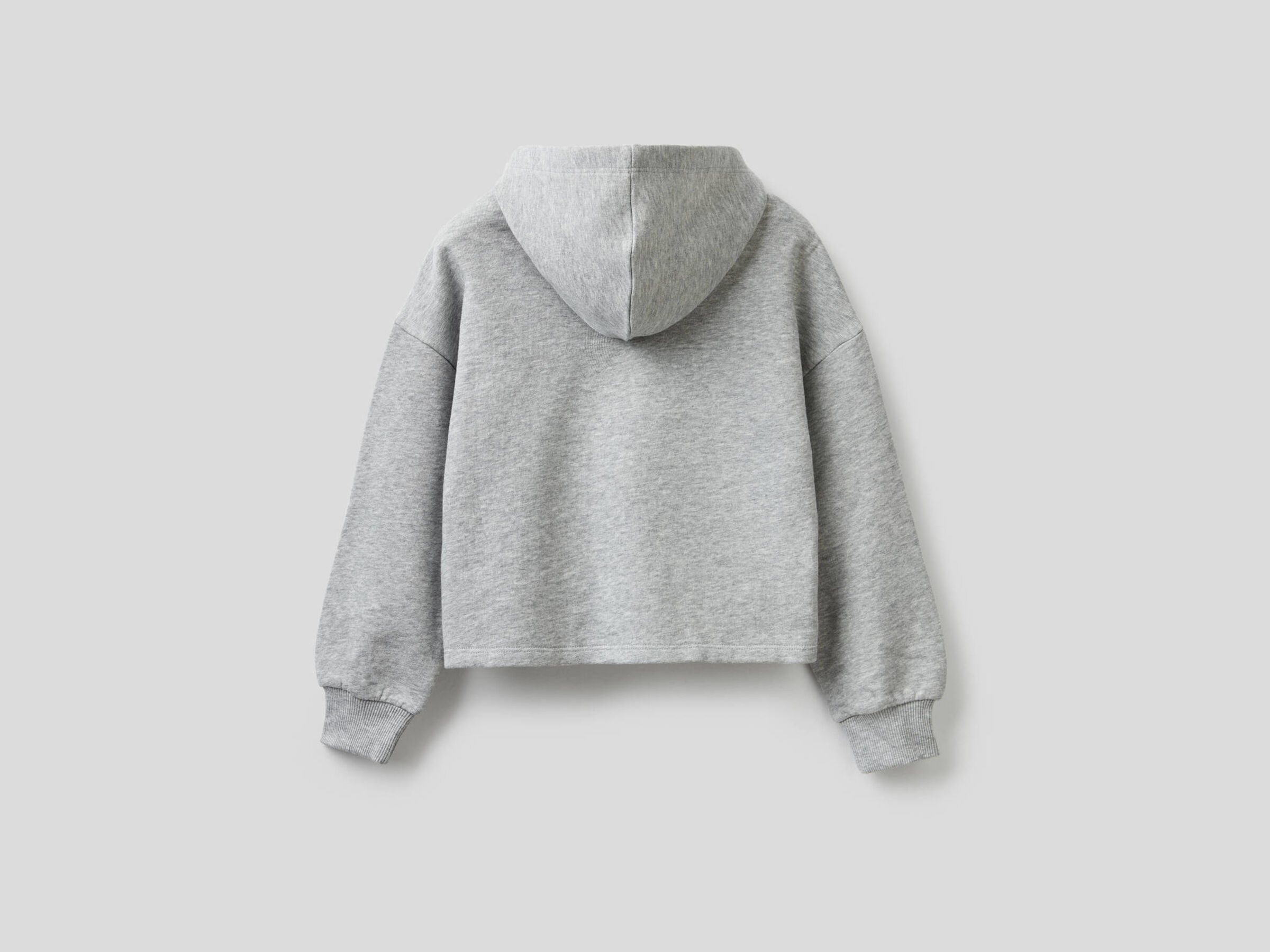 Sweatshirt in cotton with embroidered logo image number null