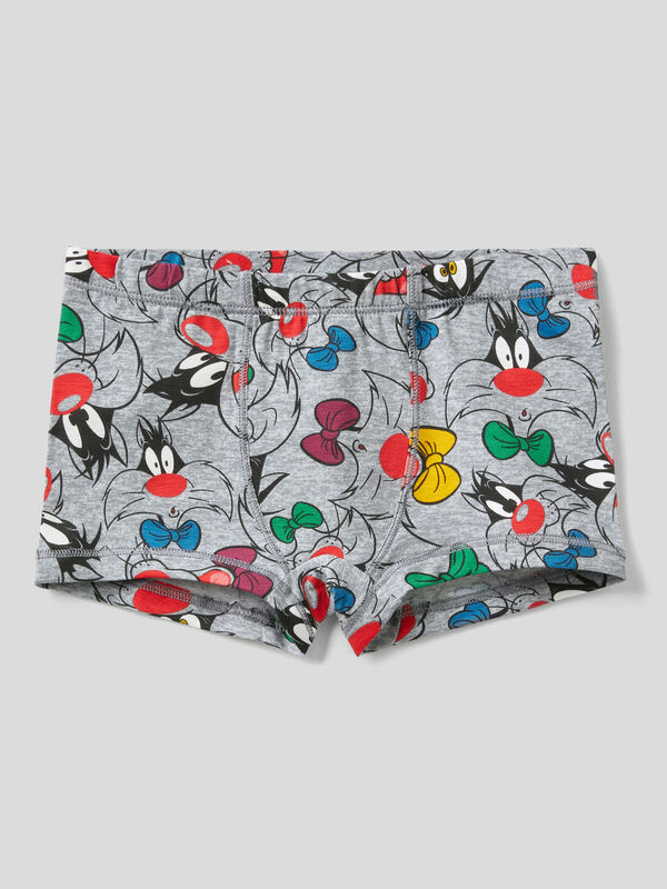 Toddle Boy's Underwear, Boxer Briefs & Undershirts