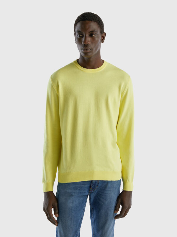 Crew neck sweater in 100% cotton Men