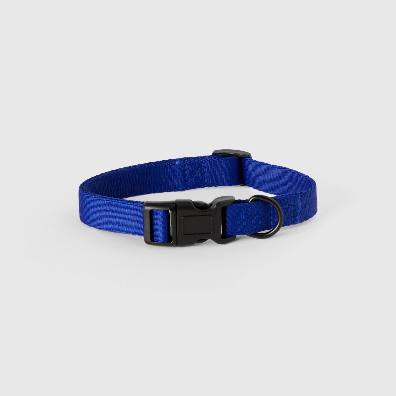 Bright blue on sale dog collar