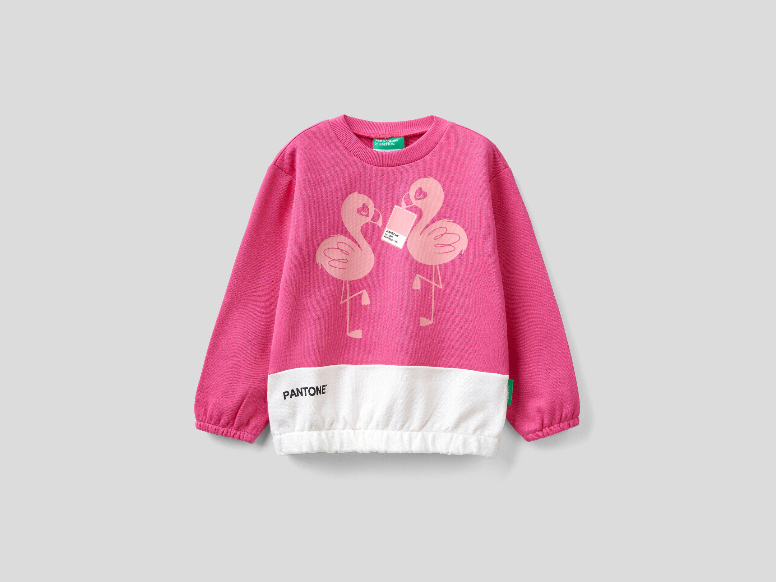 Fuchsia sweatshirt best sale