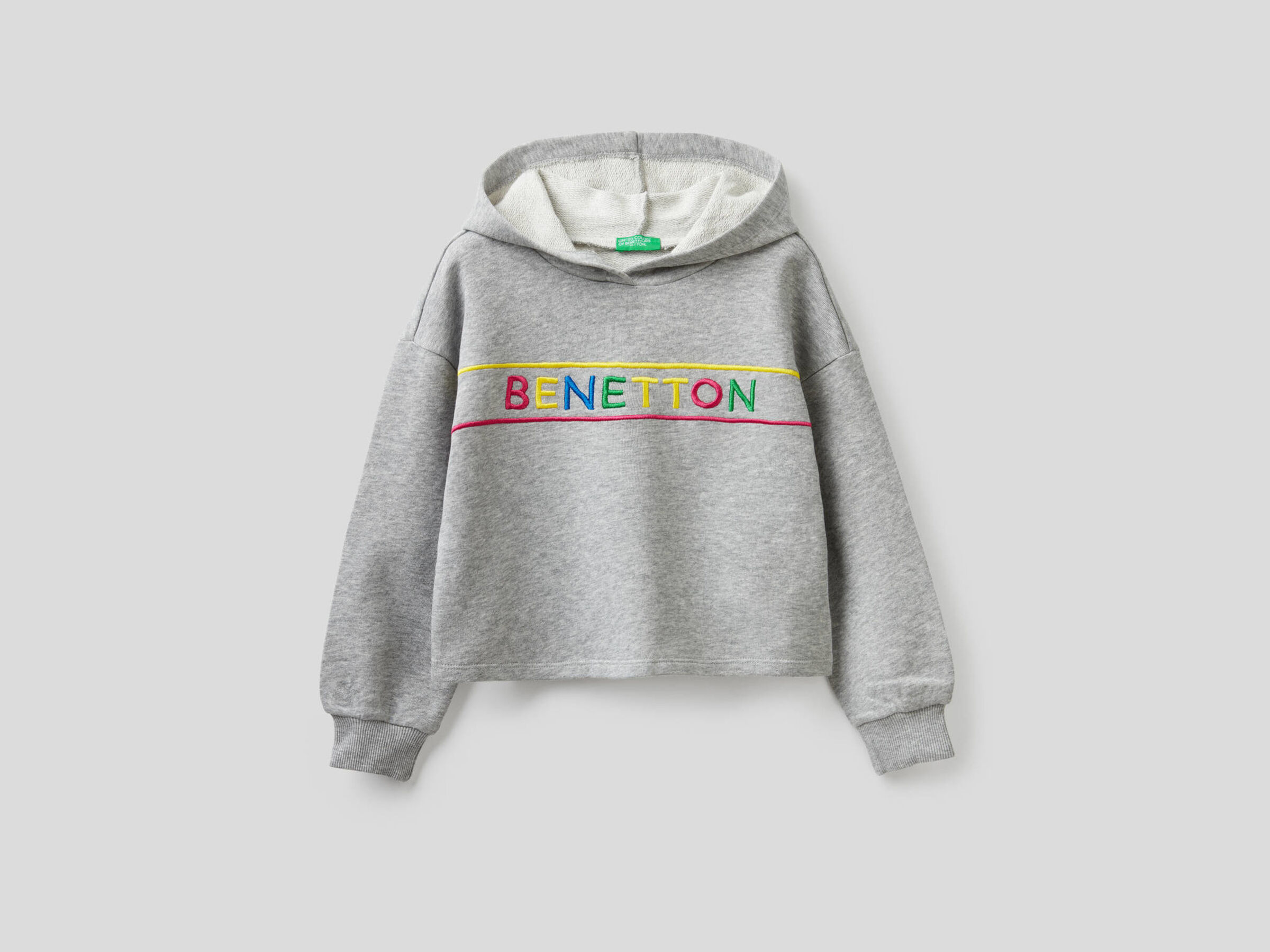 Sweatshirt in cotton with embroidered logo image number null