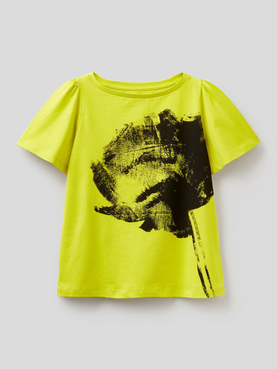 Organic cotton t-shirt with print image number null