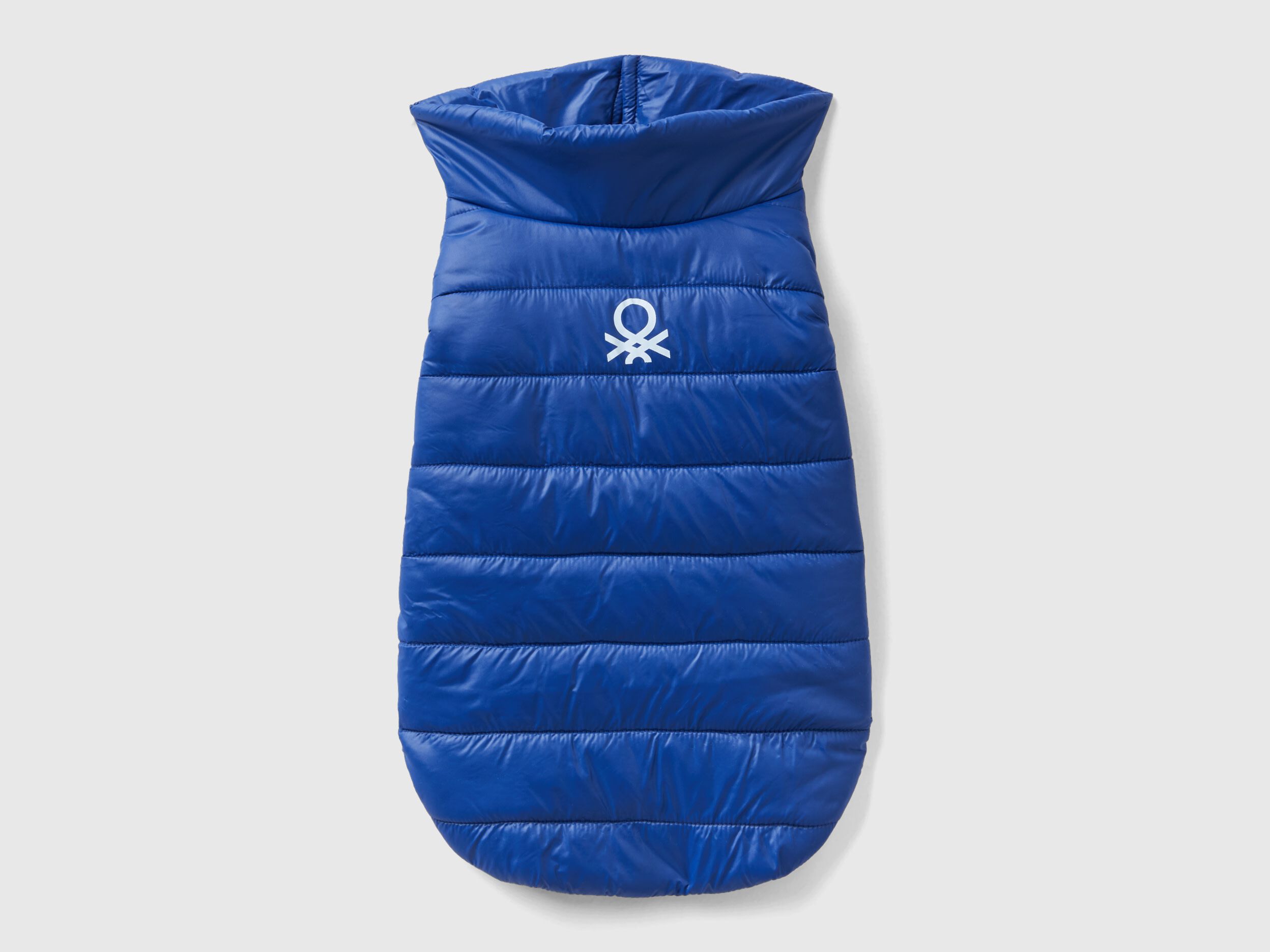Cornflower blue padded jacket for dogs Bright Blue Benetton