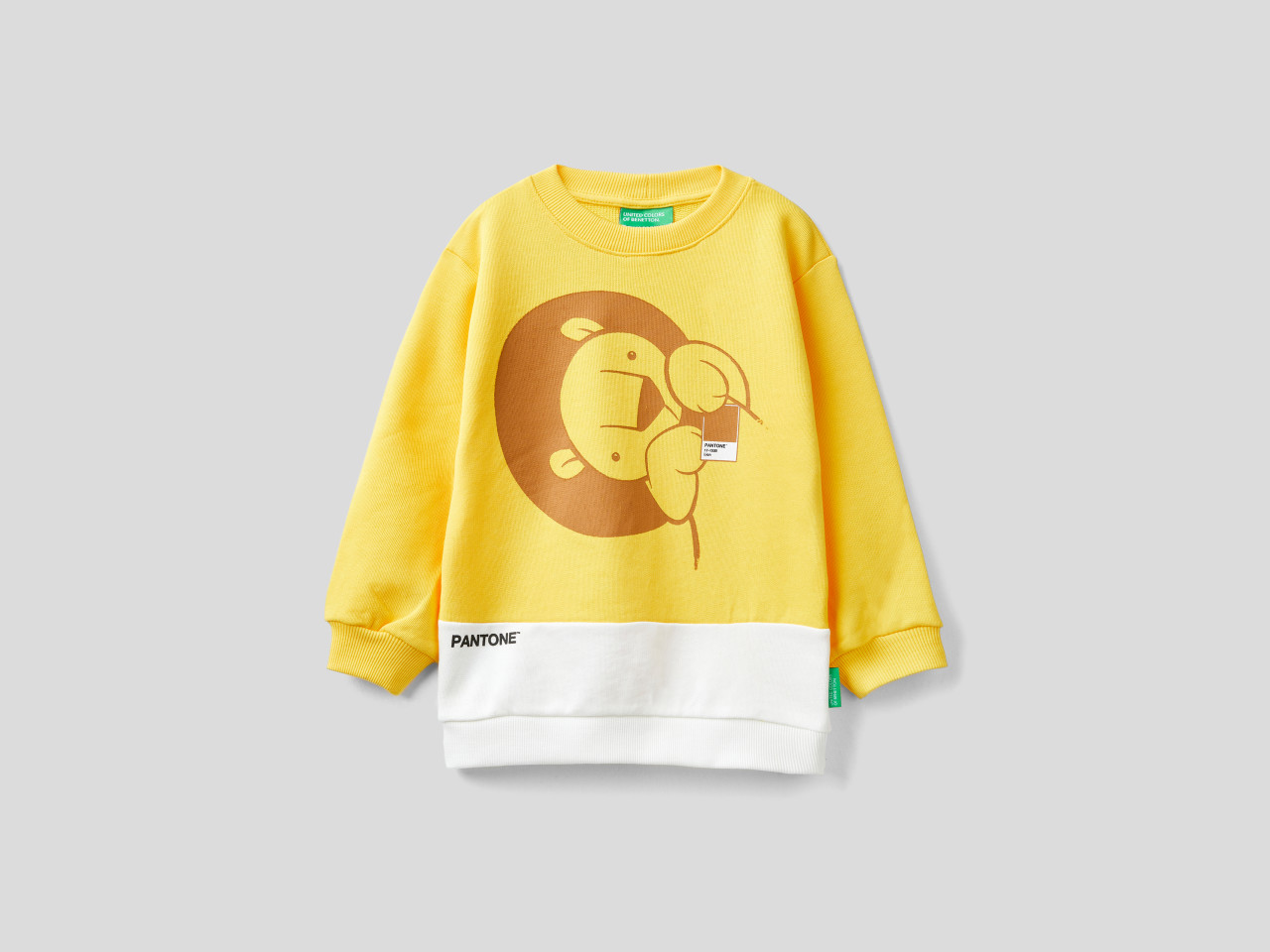 Kid Boys' Sweatshirts without hood Collection 2023